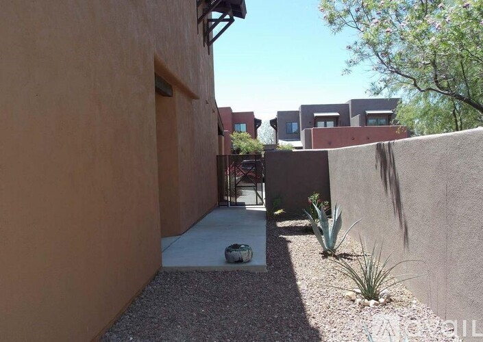 A sunny day in a courtyard with a concrete floor, a wall, and a few plants.