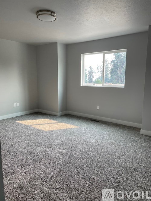 A room with a carpeted floor and a window showing trees outside.