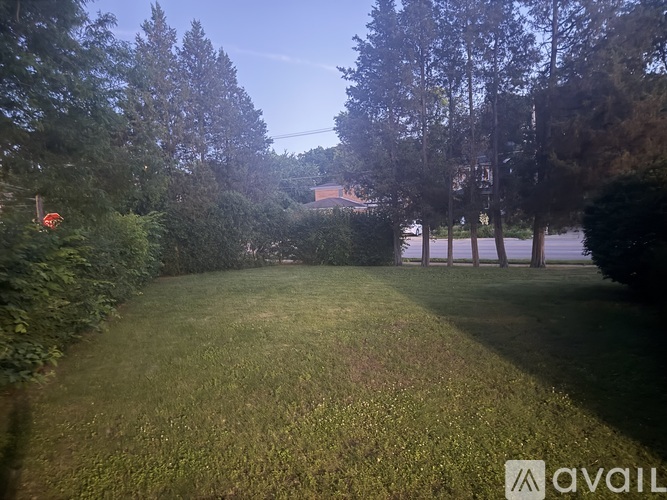 A grassy area with trees and a building in the background.