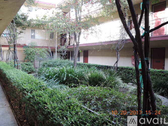 A tree in front of a building with a balcony.