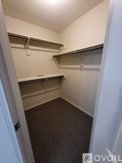 A small, empty closet with a carpeted floor and white walls.