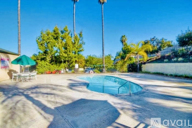 A pool surrounded by a concrete patio and palm trees.