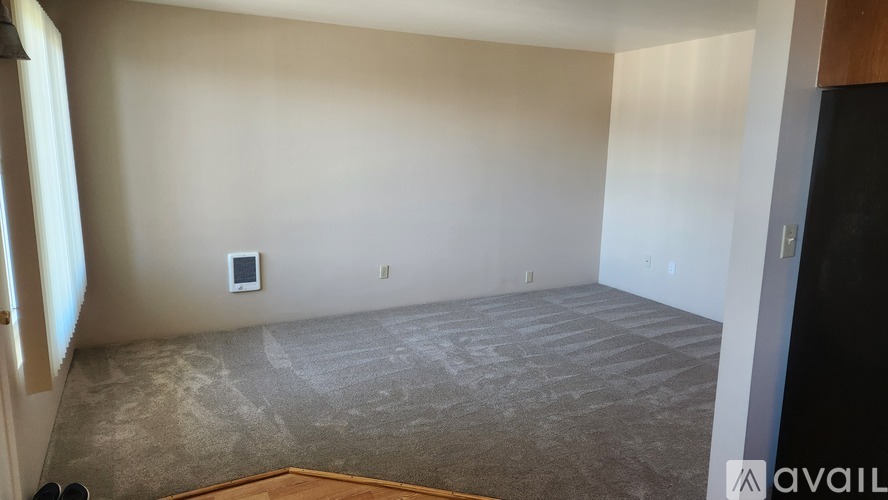 A room with a carpeted floor and a wall-mounted electrical outlet.