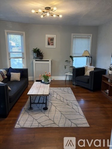 A living room with a black couch, a wooden coffee table, and a rug with a spider web design.