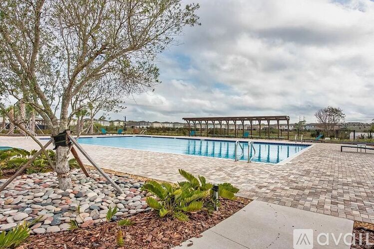 A pool surrounded by a stone border and a tree.