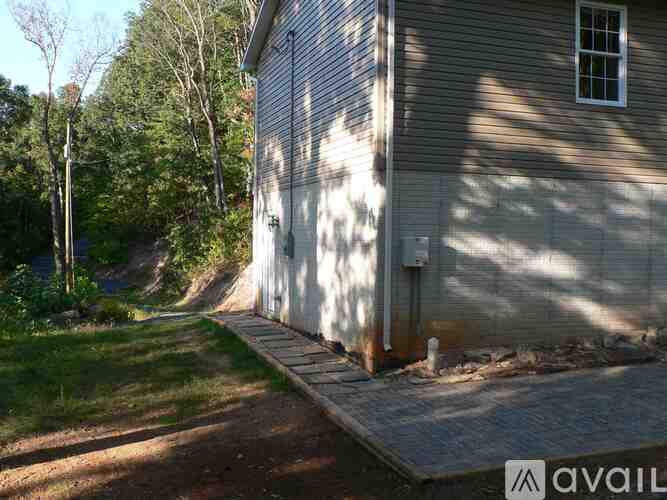 A house with a grey siding and a white window is surrounded by trees.