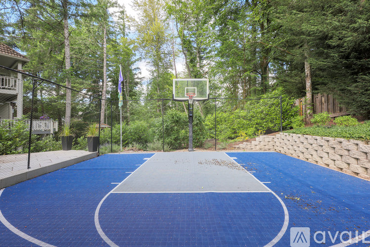 A basketball court surrounded by trees and a house.