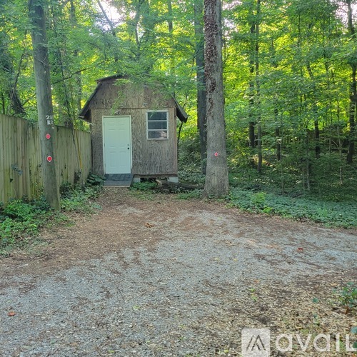 A small wooden shed with a white door is surrounded by a forest.