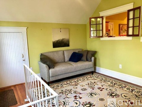 A living room with a couch and a rug.