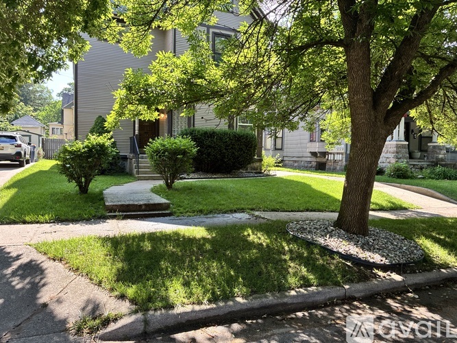 A tree in a grassy area in front of a house.