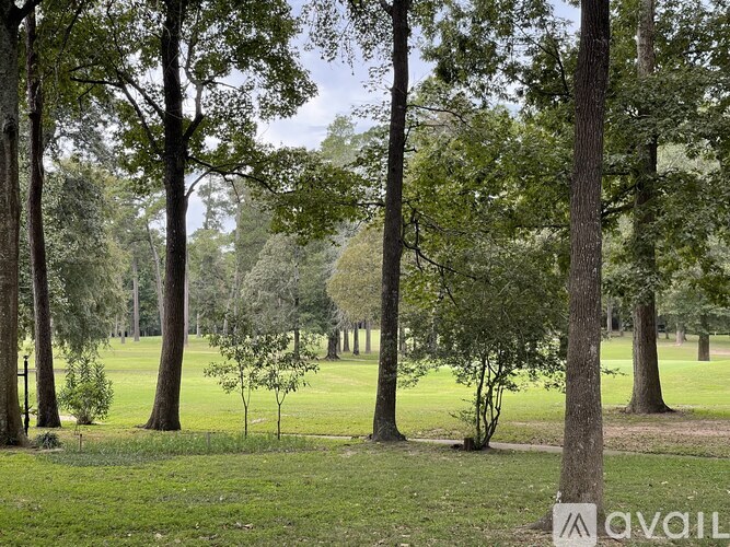 A grassy field with trees in the background.
