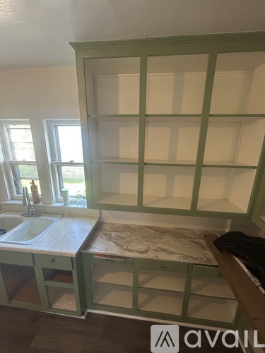 A kitchen with green cabinets and a sink.