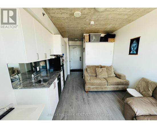 A living room with a couch, a chair, and a kitchen area with a sink and cabinets.