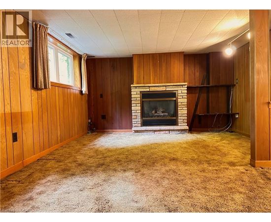 A living room with a fireplace and a carpet.