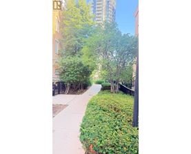 A sidewalk with green bushes and trees on the side of a building.