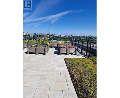 A rooftop garden with raised beds and a view of the city skyline.
