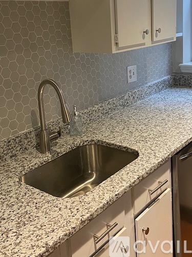 410 11th Street Northeast 2 Beds Condo for Rent - Photo gallery 5