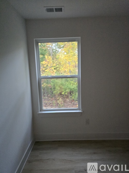 A room with a window showing trees and foliage outside.