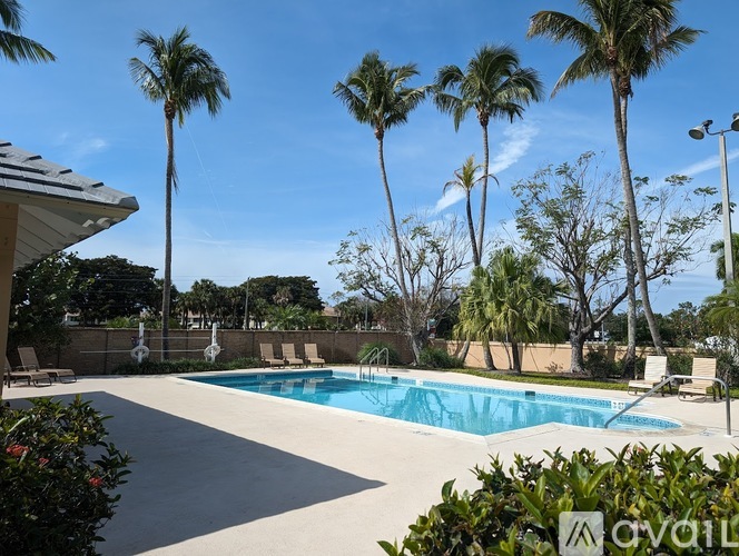 A pool surrounded by palm trees and a clear blue sky.
