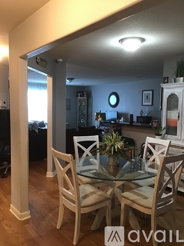 4047 Pedernales River Lane 3 Beds Single Family Home for Rent - Photo gallery 3