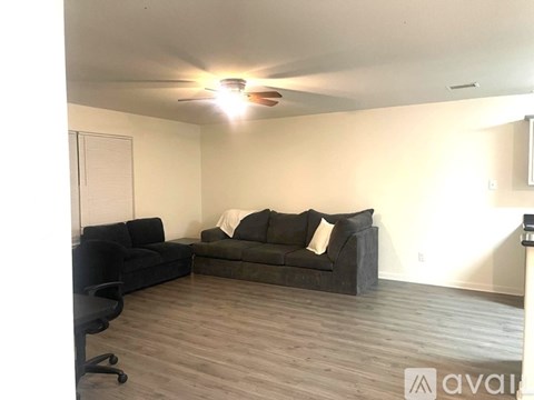 A living room with a black couch and a green couch.