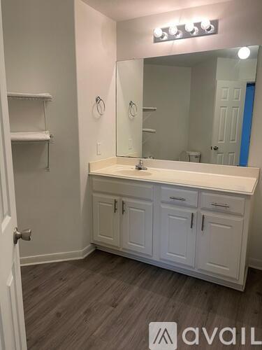 4047 Pedernales River Lane 3 Beds Single Family Home for Rent - Photo gallery 5
