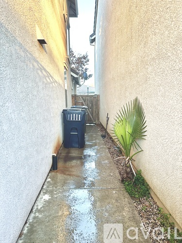 A black trash can sits on a wet sidewalk between two buildings.