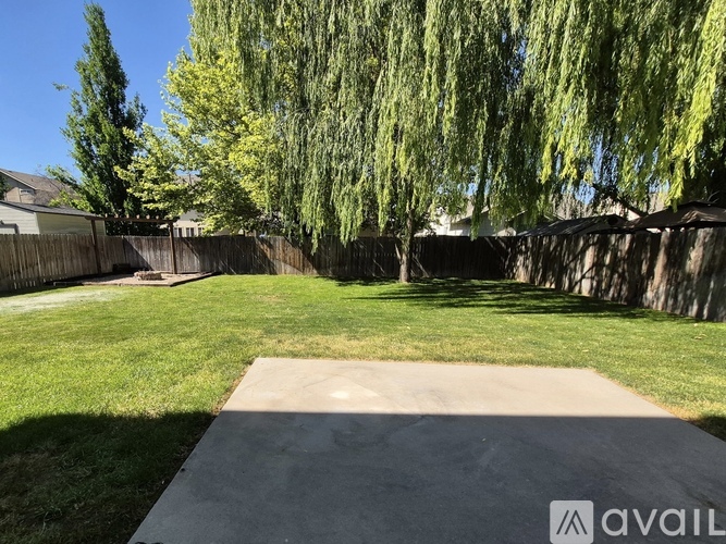 A backyard with a concrete slab in the foreground and a fence and trees in the background.