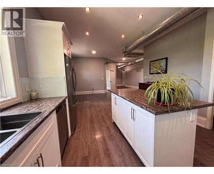 A kitchen with white cabinets and a plant on the counter.
