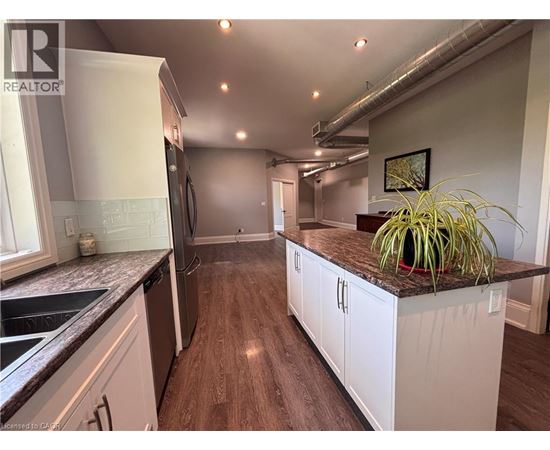 A kitchen with white cabinets and a plant on the counter.
