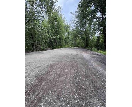 A gravel road stretches into the distance surrounded by trees.