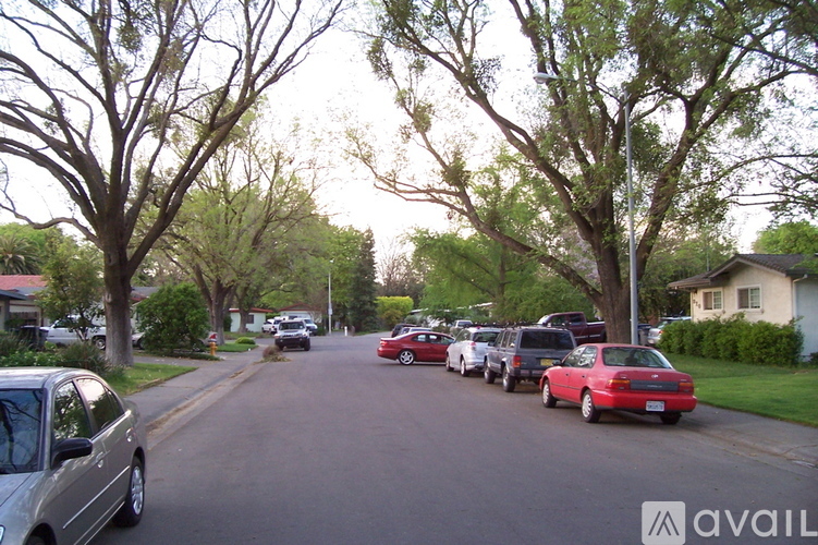 Cars parked on a street with trees on both sides.