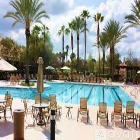 31671 Sandhill Lane 3 Beds Apartment for Rent