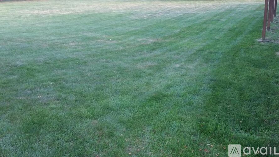 A grassy field with a brown pole in the distance.