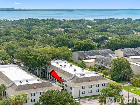 5221 Bayshore Blvd 1 Apartment for Rent
