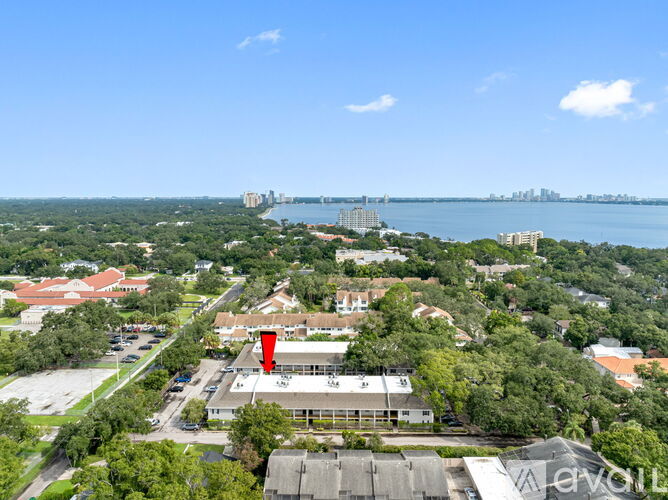 5221 Bayshore Blvd 1 Apartment for Rent - Photo gallery 2