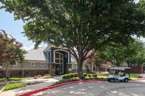 A tree with pink flowers is in front of a building.