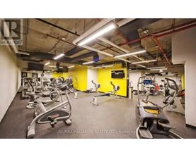 A gym with treadmills, exercise bikes, and other equipment.