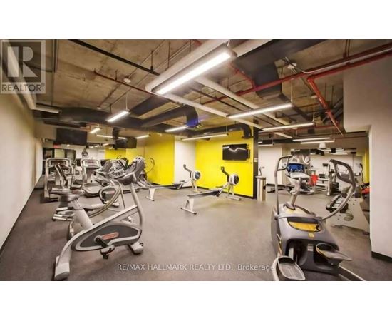 A gym with treadmills, exercise bikes, and other equipment.