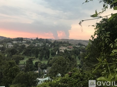 A view of a town from a hill with trees in the foreground.