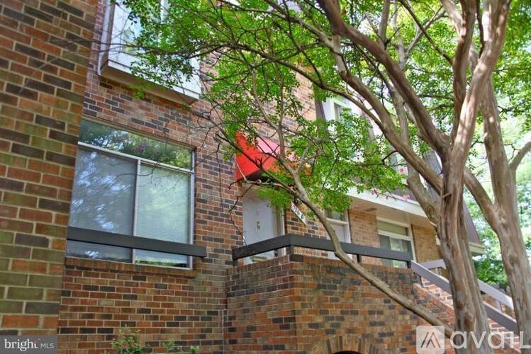 A tree is in front of a brick building.