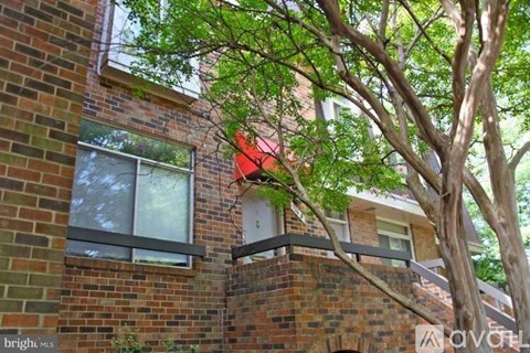 726 15Th Street South 2 Beds Apartment for Rent