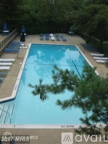 A large swimming pool surrounded by trees and lounge chairs.
