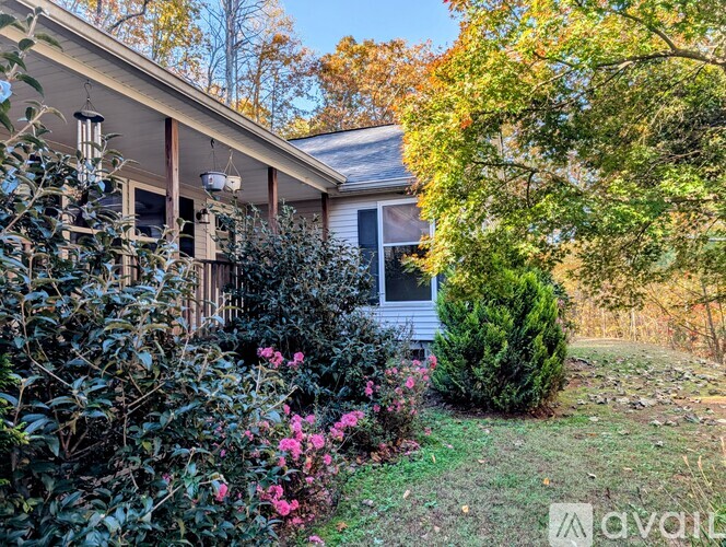 25 Silver Maple Ln 3 Beds Single Family Home for Rent - Photo gallery 2
