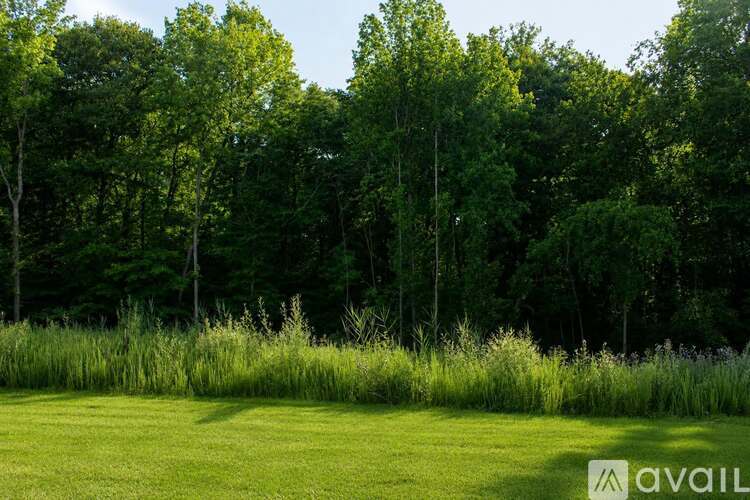 A grassy field with trees in the background.