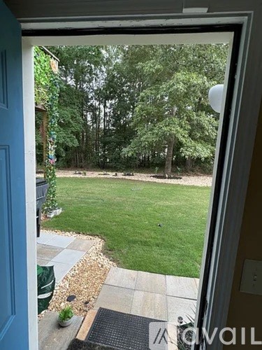A view of a backyard from a doorway.