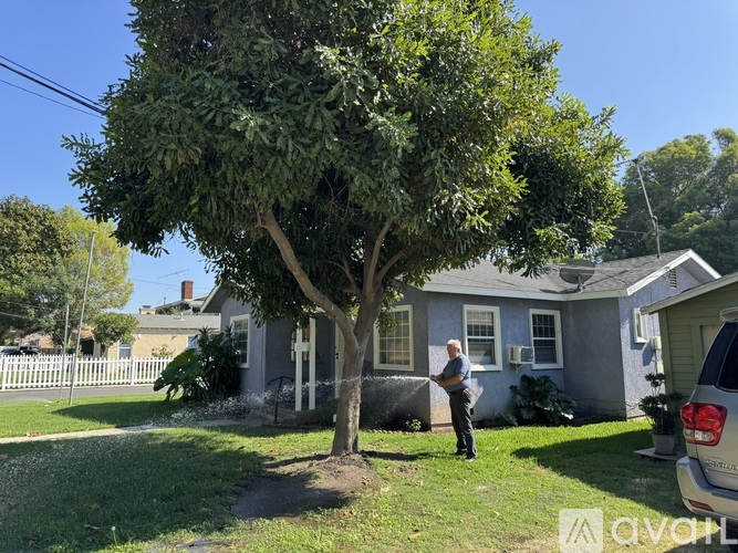 A man is standing in front of a grey house with a tree.