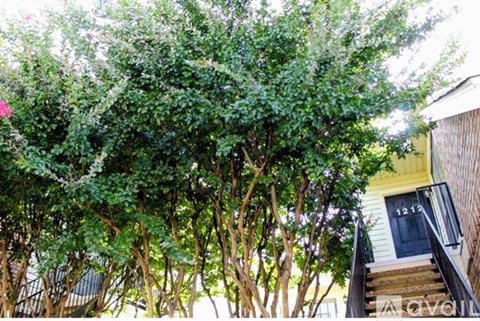 2428 Forest Brook Lane 1 Apartment for Rent