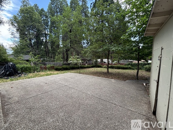 A concrete area with trees in the background.