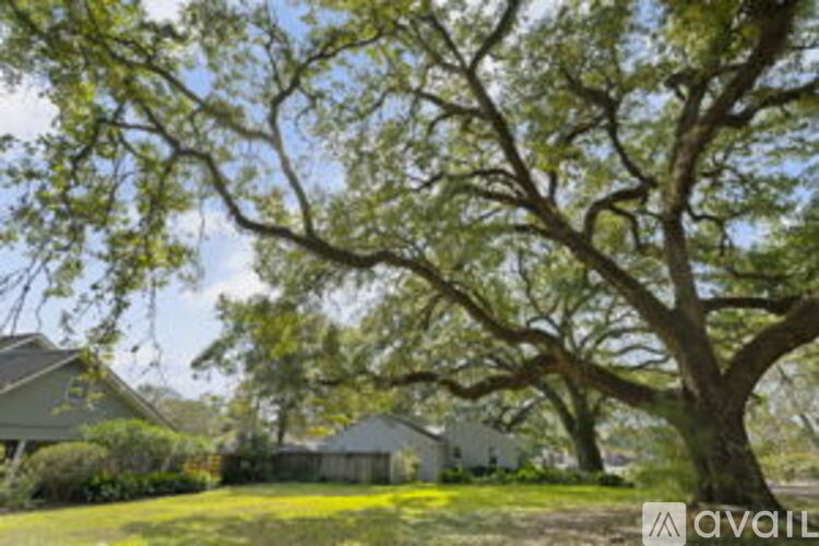 114 LSU Avenue 3 Beds Single Family Home for Rent - Photo gallery 4